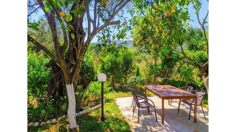 Vila Harmony Garden
